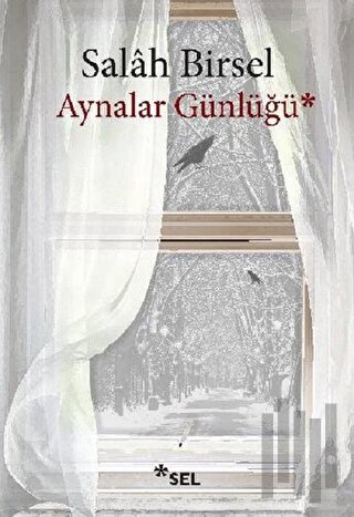 Aynalar Günlüğü | Kitap Ambarı