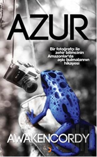 Azur | Kitap Ambarı