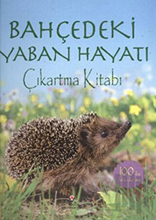 Bahçedeki Yaban Hayatı | Kitap Ambarı