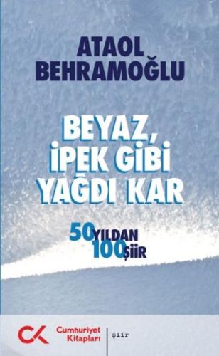 Beyaz İpek Gibi Yağdı Kar | Kitap Ambarı