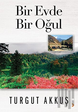 Bir Evde Bir Oğul | Kitap Ambarı