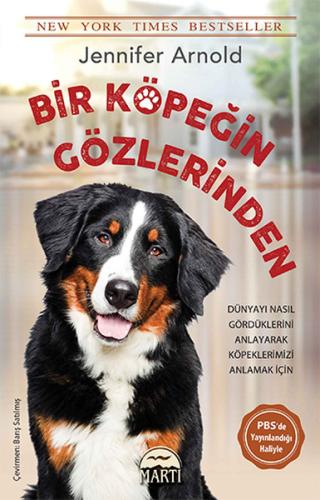 Bir Köpeğin Gözlerinden | Kitap Ambarı