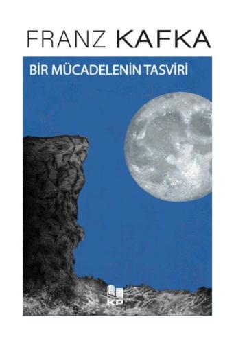 Bir Mücadelenin Tasviri | Kitap Ambarı