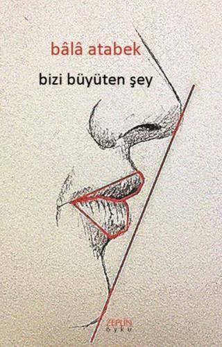 Bizi Büyüten Şey | Kitap Ambarı