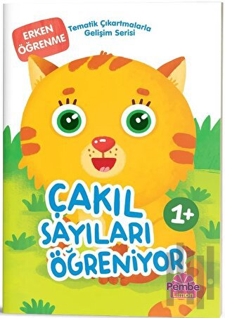 Çakıl Sayıları Öğreniyor | Kitap Ambarı