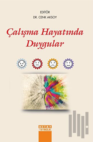 Çalışma Hayatında Duygular | Kitap Ambarı