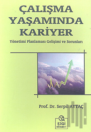 Çalışma Yaşamında Kariyer | Kitap Ambarı