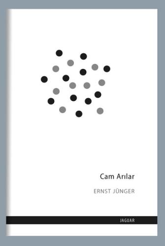 Cam Arılar | Kitap Ambarı