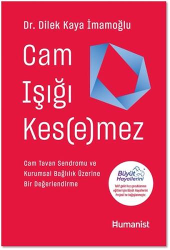 Cam Işığı Kesemez | Kitap Ambarı