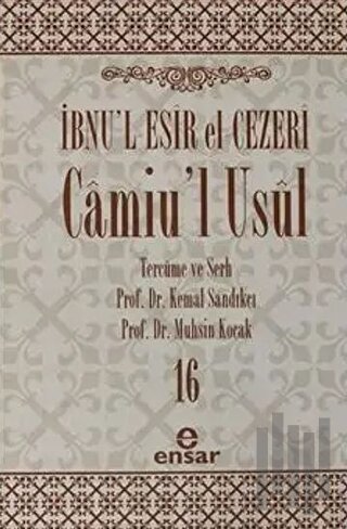 Camiu’l-Usul Cilt 16 (Ciltli) | Kitap Ambarı