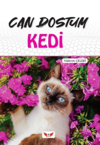 Can Dostum Kedi | Kitap Ambarı