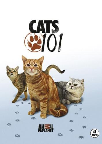 Cats 101 - Kediler | Kitap Ambarı