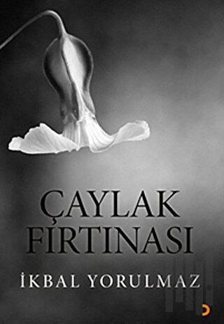 Çaylak Fırtınası | Kitap Ambarı