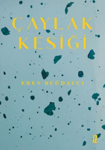 Çaylak Kesiği | Kitap Ambarı