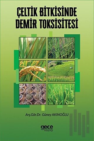 Çeltik Bitkisinde Demir Toksisitesi | Kitap Ambarı