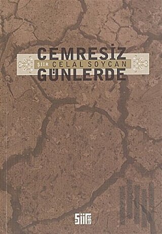 Cemresiz Günlerde | Kitap Ambarı