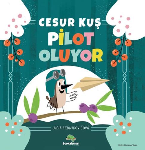 Cesur Kuş Pilot Oluyor | Kitap Ambarı