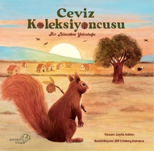 Ceviz Koleksiyoncusu | Kitap Ambarı