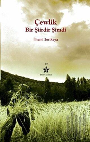 Çewlik Bir Şiirdir Şimdi | Kitap Ambarı