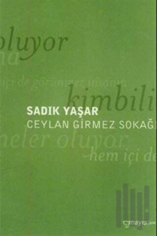 Ceylan Girmez Sokağı | Kitap Ambarı