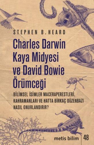 Charles Darwin Kaya Midyesi ve David Bowie Örümceği | Kitap Ambarı