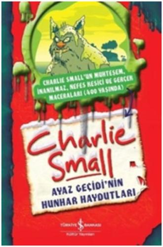 Charlie Small - Ayaz Geçidi'nin Hunhar Haydutları | Kitap Ambarı