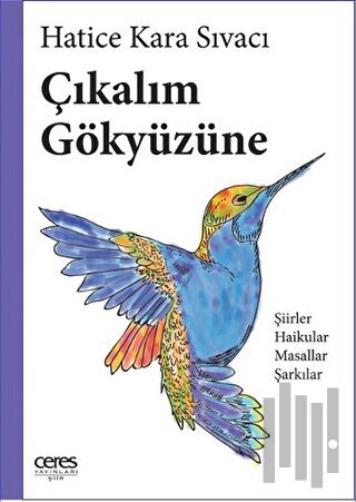 Çıkalım Gökyüzüne | Kitap Ambarı