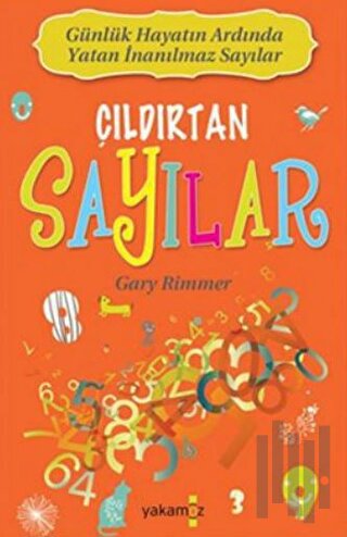 Çıldırtan Sayılar | Kitap Ambarı