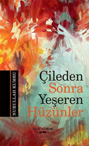 Çileden Sonra Yeşeren Hüzünler | Kitap Ambarı