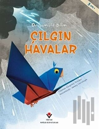 Çılgın Havalar - Origamiyle Bilim | Kitap Ambarı