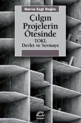 Çılgın Projelerin Ötesinde | Kitap Ambarı