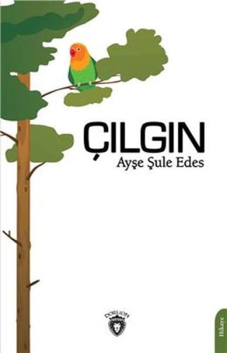 Çılgın | Kitap Ambarı