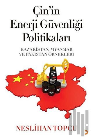 Çin’in Enerji Güvenliği Politikaları | Kitap Ambarı