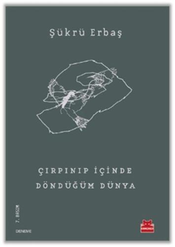 Çırpınıp İçinde Döndüğüm Dünya | Kitap Ambarı