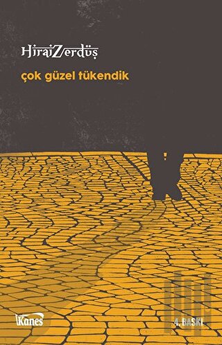 Çok Güzel Tükendik | Kitap Ambarı