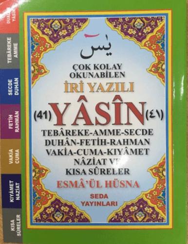 Çok Kolay Okunabilen İri Yazılı 41 Yasin (Çanto Boy, Kod: 165) | Kitap