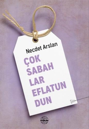 Çok Sabahlar Eflatundun | Kitap Ambarı