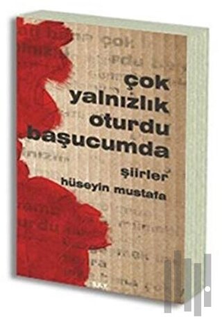 Çok Yalnızlık Oturdu Başucumda | Kitap Ambarı