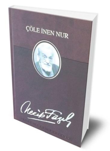 Çöle İnen Nur (Deri Cilt) (Ciltli) | Kitap Ambarı