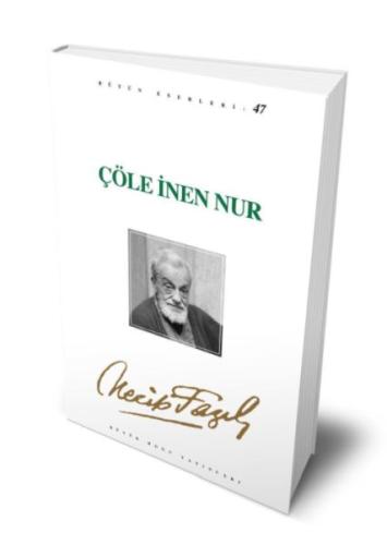 Çöle İnen Nur | Kitap Ambarı