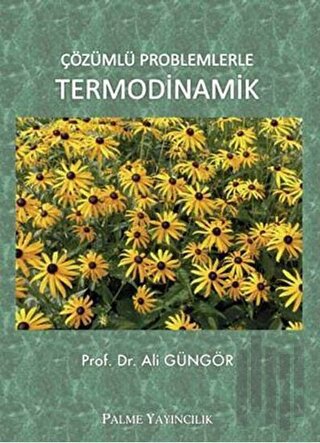 Çözümlü Problemlerle Termodinamik | Kitap Ambarı