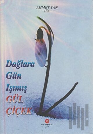 Dağlara Gün Işımış Gül Çiçek | Kitap Ambarı