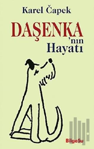 Daşenka'nın Hayatı | Kitap Ambarı