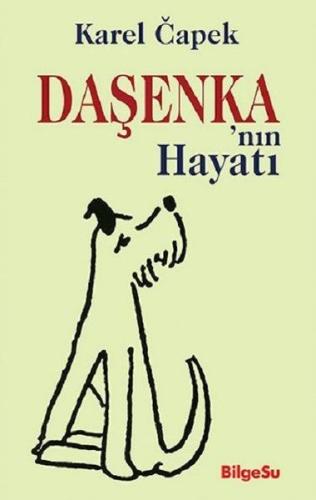 Daşenka'nın Hayatı | Kitap Ambarı