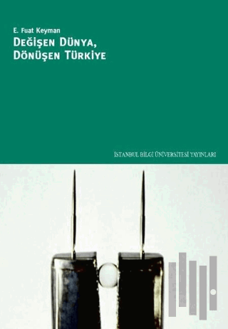 Değişen Dünya, Dönüşen Türkiye | Kitap Ambarı