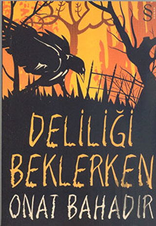 Deliliği Beklerken | Kitap Ambarı