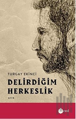 Delirdiğim Herkeslik | Kitap Ambarı