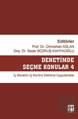 Denetimde Seçme Konular 4 | Kitap Ambarı