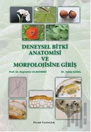 Deneysel Bitki Anatomisi ve Morfolojisine Giriş | Kitap Ambarı