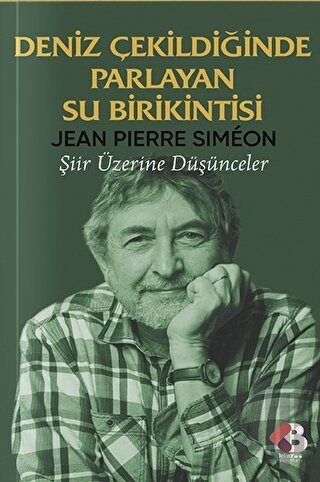 Deniz Çekildiğinde Parlayan Su Birikintisi | Kitap Ambarı